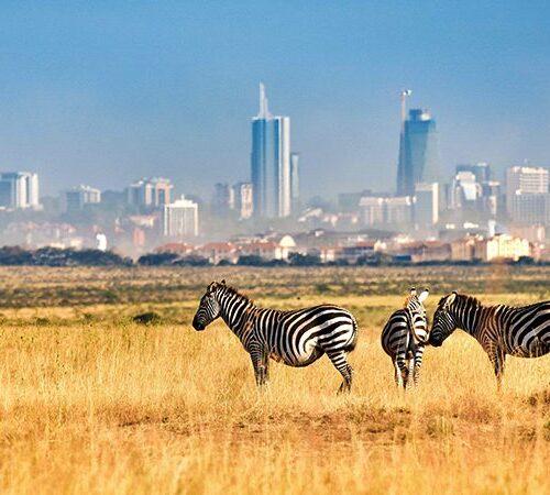 Nairobi National Park