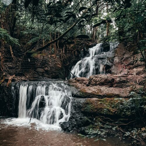 Karura Forest