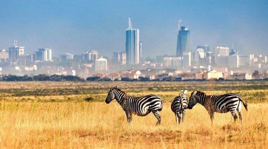 Nairobi: Tips & sights in the capital of Kenya