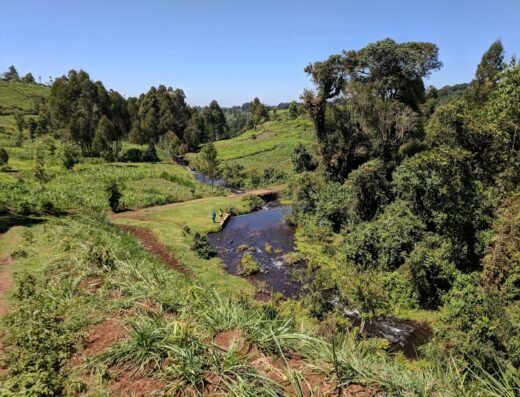 Mount Kenya National Park