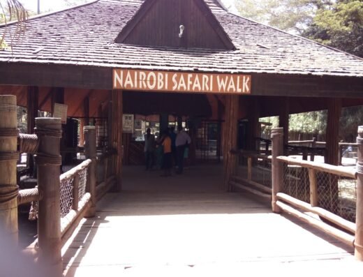 Nairobi Safari Walk