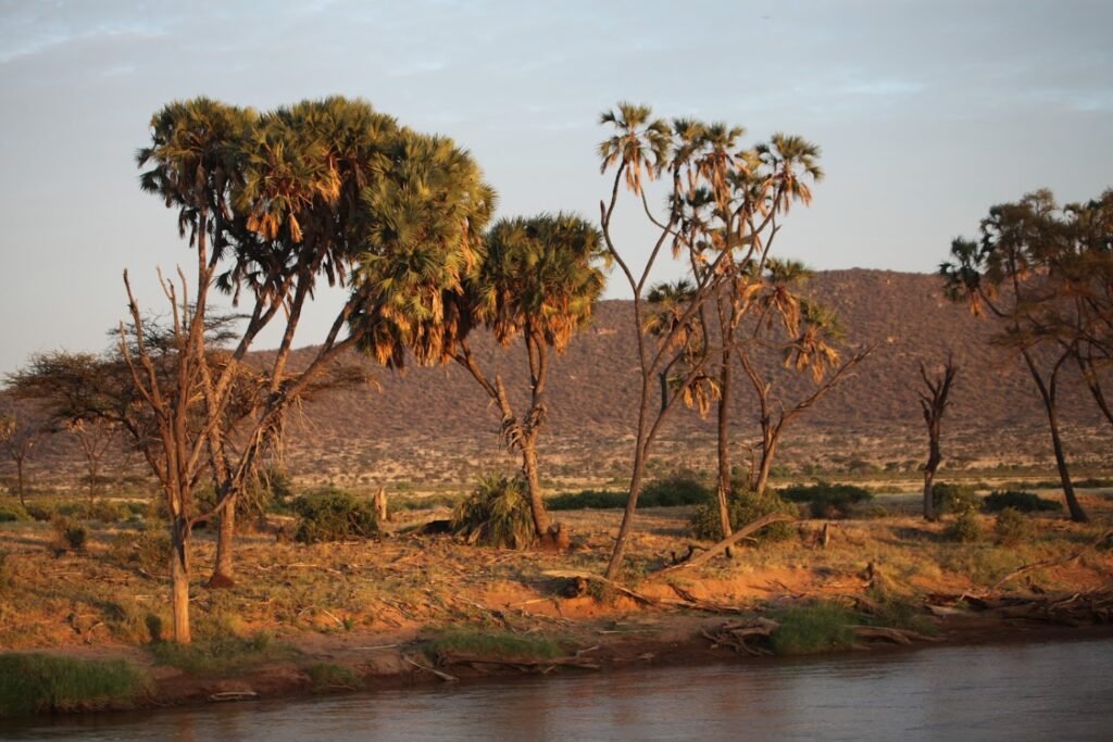 Samburu National Reserve