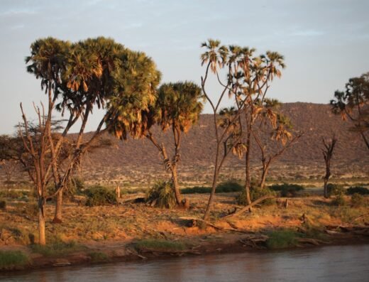 Samburu National Reserve